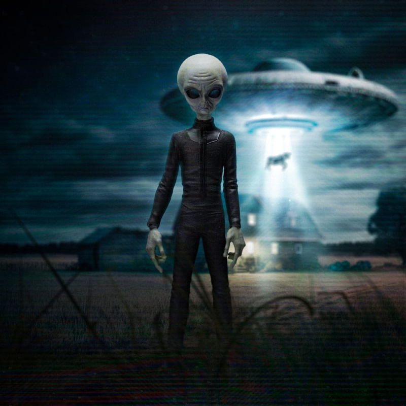 I want to Believe Art Scale Statue 1/10 Alien Grey 21 cm 6