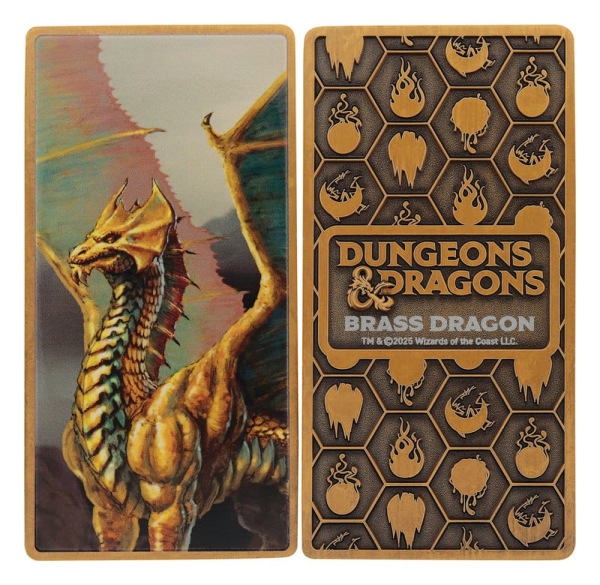 Dungeons & Dragons Ingot Set Magnet Warrior Limited Edition 5