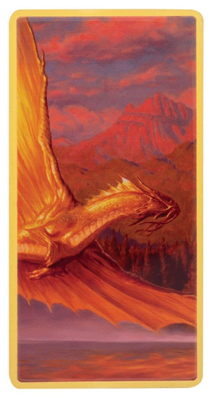 Dungeons & Dragons Ingot Set Magnet Warrior Limited Edition 12