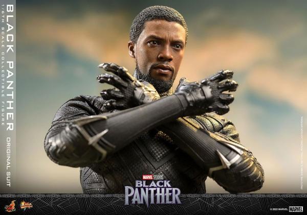 Black Panther: Black Panther 1/6 Movie Masterpiece Action Figure - Hot Toys