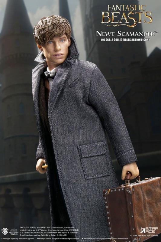 Fantastic Beasts My Favourite Movie Action Figure 1/6 Newt Scamander Grey Coat Ver. 30 cm 3