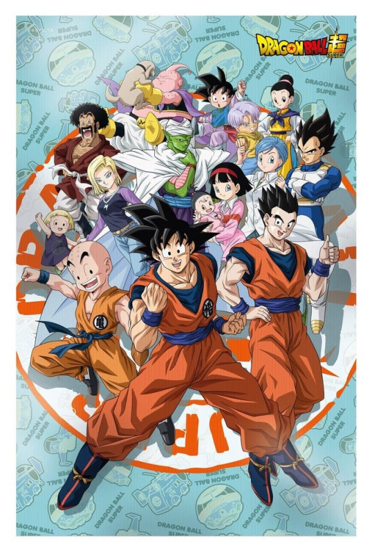 Dragon Ball Super 3D Poster Universe Survival 38 x 58 cm