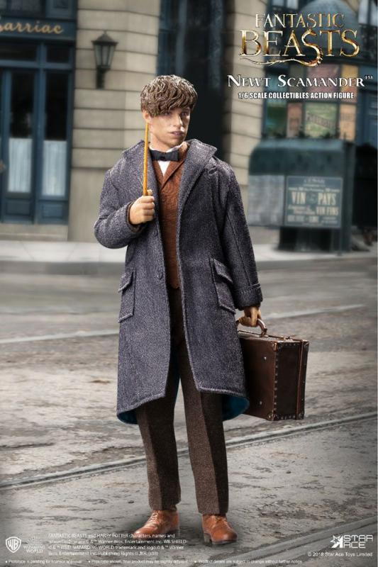 Fantastic Beasts My Favourite Movie Action Figure 1/6 Newt Scamander Grey Coat Ver. 30 cm 5