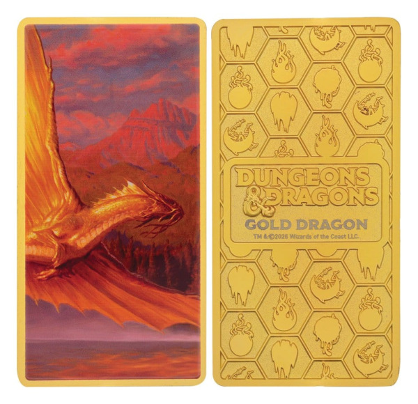 Dungeons & Dragons Ingot Set Magnet Warrior Limited Edition 11