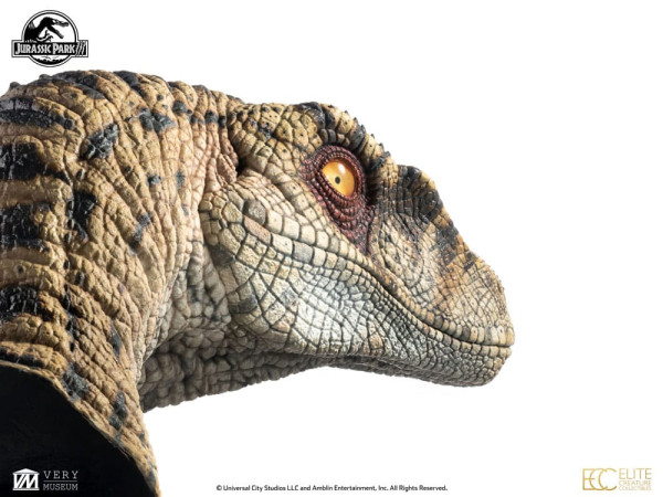 Jurassic Park III Bust Female Velociraptor White Queen 75 cm 10