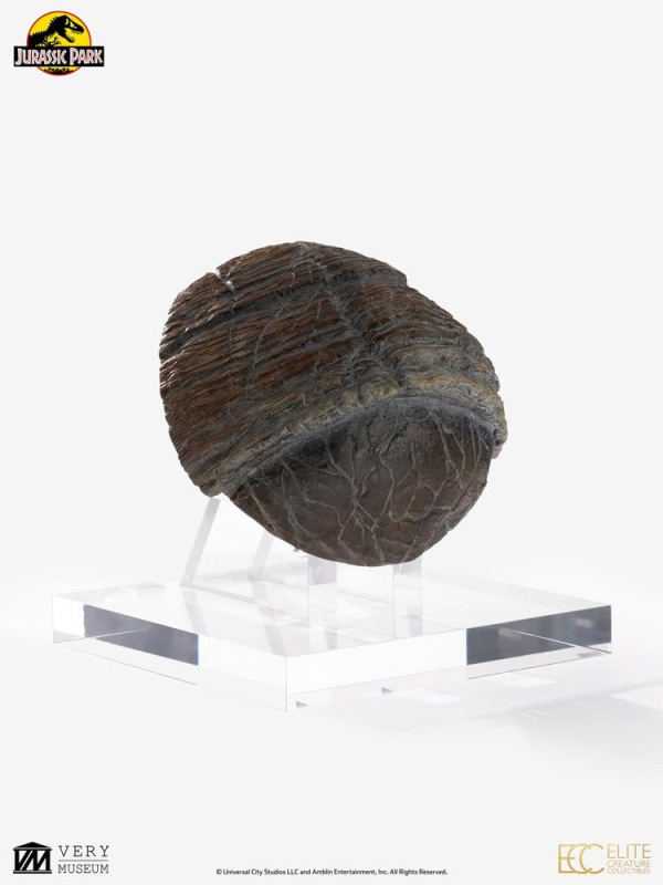 Jurassic Park 1/1 Replica Triceratops Toenail 16 cm 4