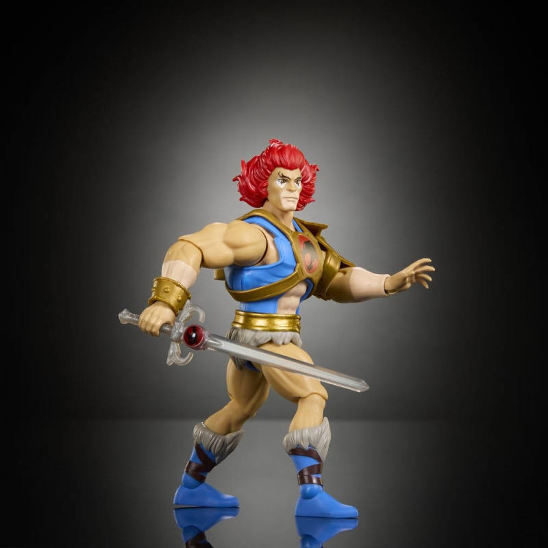 Masters of the Universe x ThunderCats Action Figure Lion-O 14 cm 5
