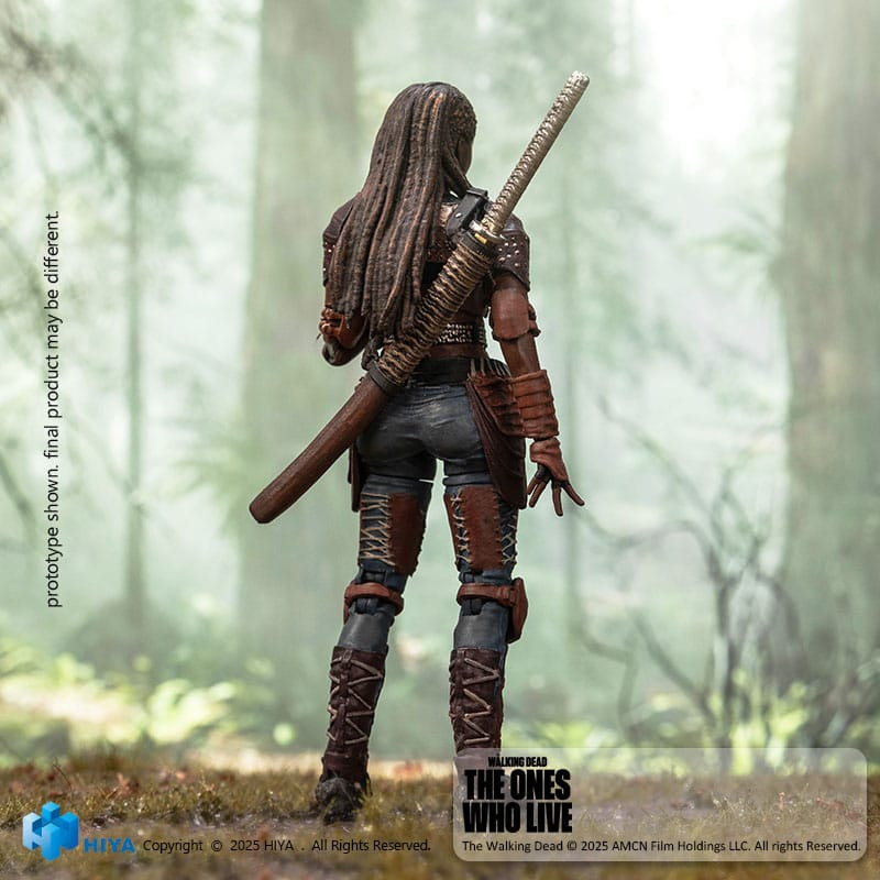 The Walking Dead: The Ones Who Lived Exquisite Mini Action Figure 1/18 Michonne 10 cm 6