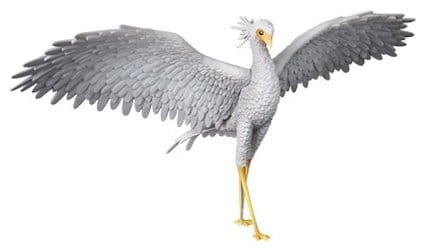 Flow UDF PVC Figure Secretarybird 2
