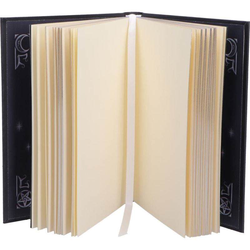 Cult Cuties Journal Purrah 18 cm 5