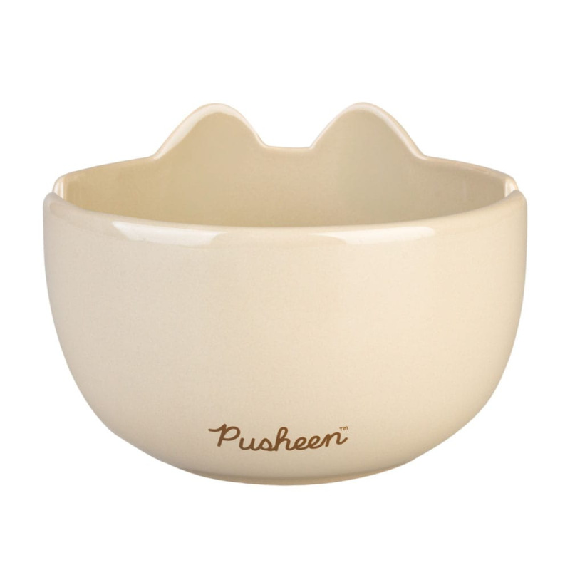Pusheen Ramen Bowl 2