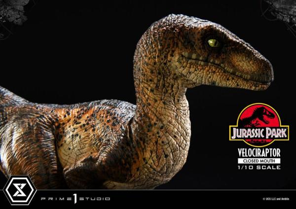 Jurassic Park Prime Collectibles Statue 1/10 Velociraptor Closed Mouth 19 cm