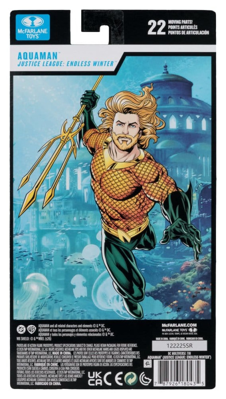 DC Multiverse Action Figure Aquaman (Endless Winter) (Blister Card) 18 cm 4