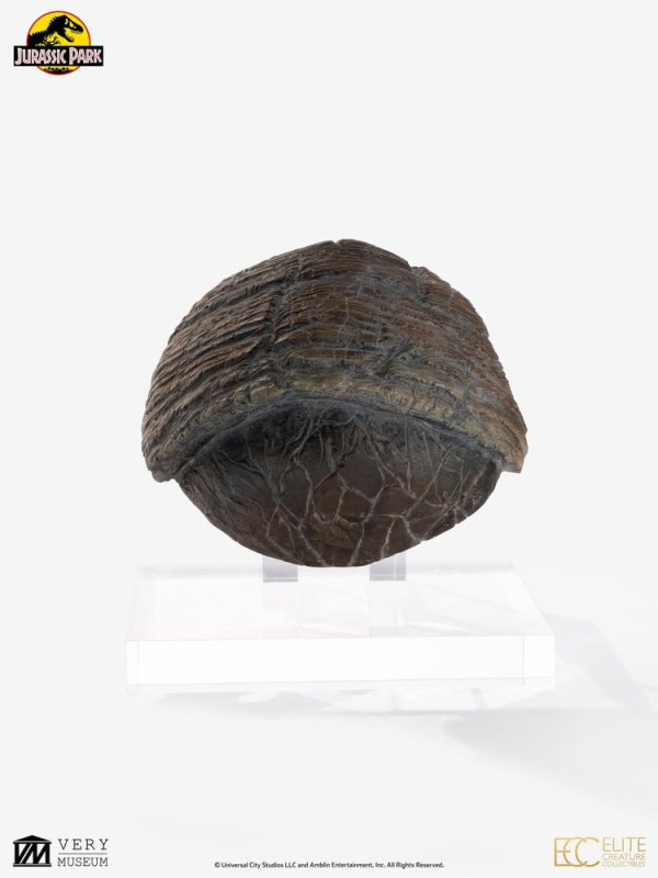 Jurassic Park 1/1 Replica Triceratops Toenail 16 cm 3
