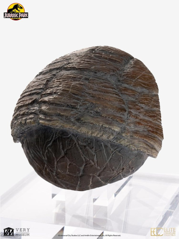Jurassic Park 1/1 Replica Triceratops Toenail 16 cm 1