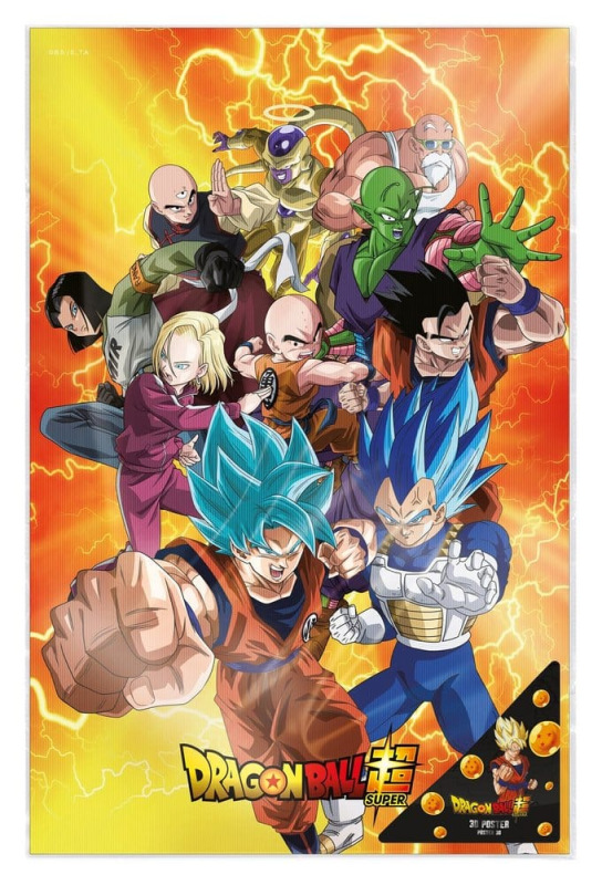 Dragon Ball Super 3D Poster Survival Heroes 38 x 58 cm 1