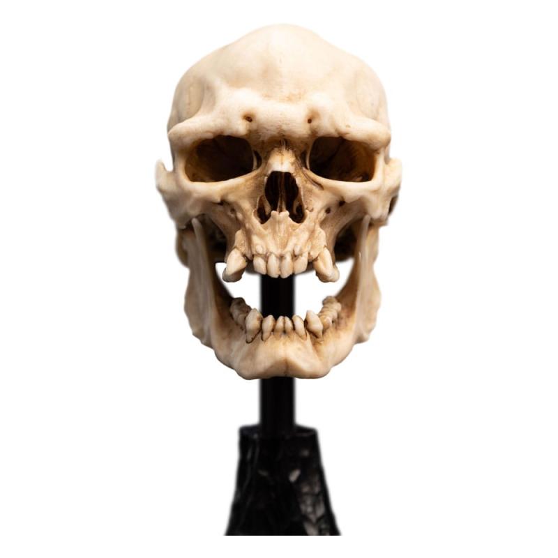 Lord of the Rings Mini Statue Skull of a Mordor Orc 14 cm 11