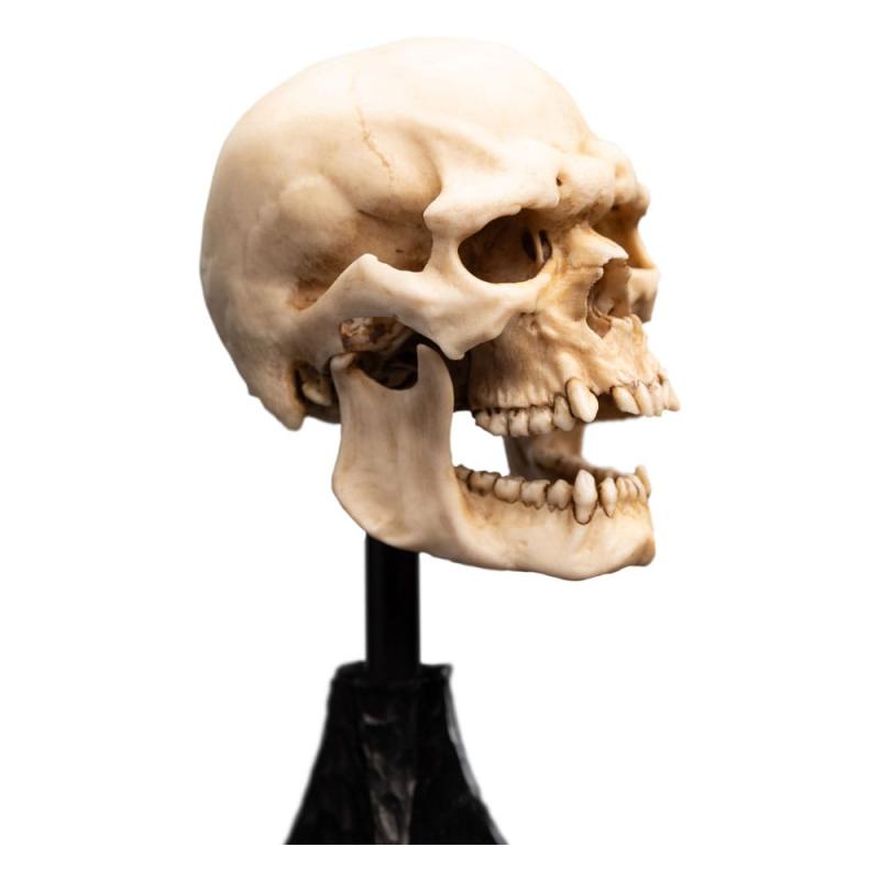 Lord of the Rings Mini Statue Skull of a Mordor Orc 14 cm 2