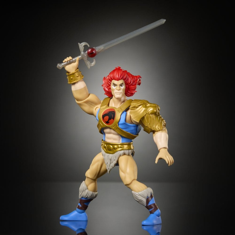 Masters of the Universe x ThunderCats Action Figure Lion-O 14 cm 4