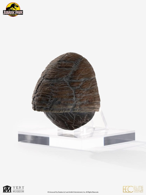 Jurassic Park 1/1 Replica Triceratops Toenail 16 cm 2