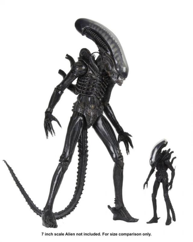Alien: Big Chap -1979 Ultimate 40th Anniversary - Figure 1/4 - Neca