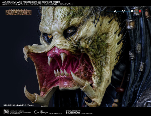 Wolf Predator Life-Size Bust - CoolProps 7