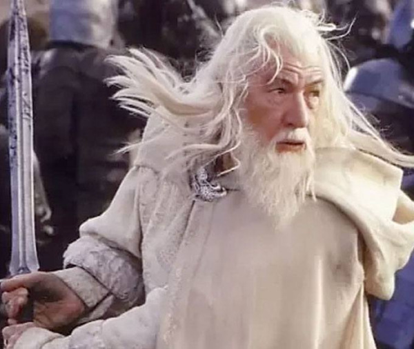 The Lord of the Rings Figures of Fandom PVC Statue Gandalf the White 23 cm 1