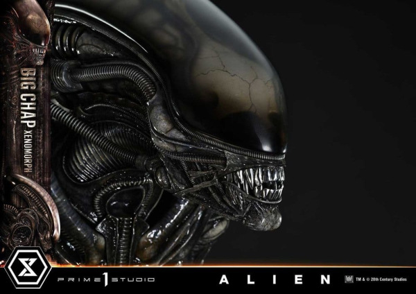 Alien Museum Masterline XL Statue 1/3 Big Chap Xenomorph Regular Ver. 100 cm 13