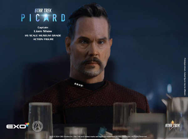 Star Trek: Picard Action Figure 1/6 Captain Liam Shaw 30 cm 5