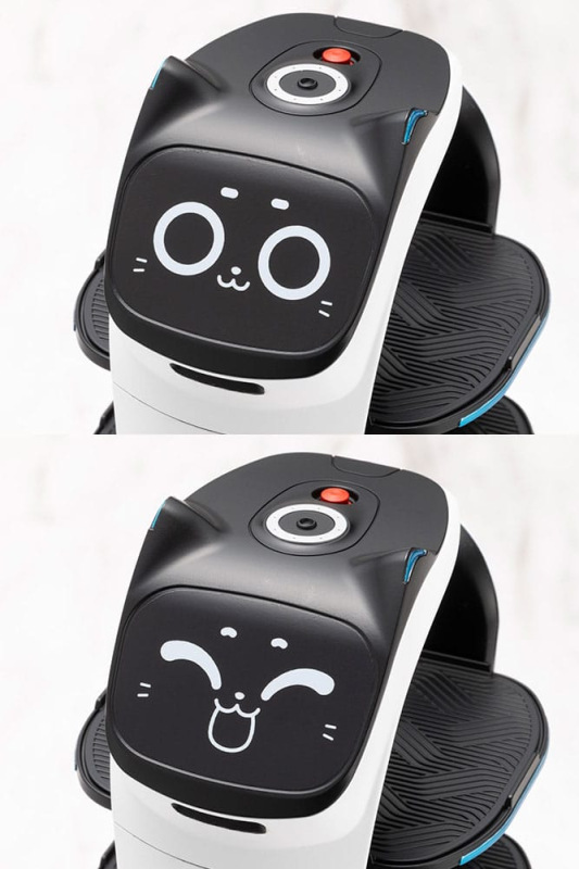 Pudu Robotics Grande ScalePlastic Model Kit BellaBot 19 cm 8