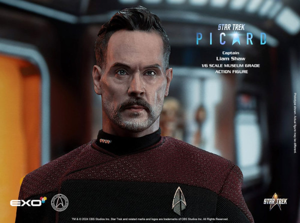 Star Trek: Picard Action Figure 1/6 Captain Liam Shaw 30 cm 2