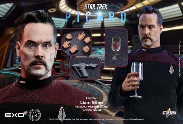 Star Trek: Picard Action Figure 1/6 Captain Liam Shaw 30 cm 6