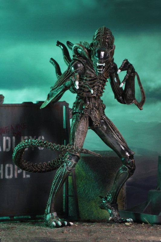 Aliens Ultimate Action Figure Warrior (1986) Brown 23 cm 5