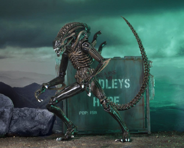 Aliens Ultimate Action Figure Warrior (1986) Brown 23 cm 4