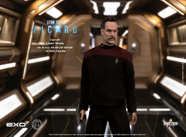 Star Trek: Picard Action Figure 1/6 Captain Liam Shaw 30 cm 3