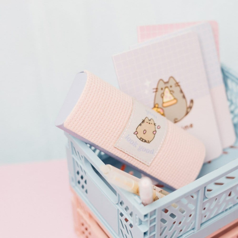 Pusheen Glasses Case 6