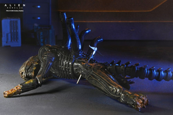 Alien: Romulus Action Figure Deluxe Suspended Lab Xenomorph XX121 18 cm 5