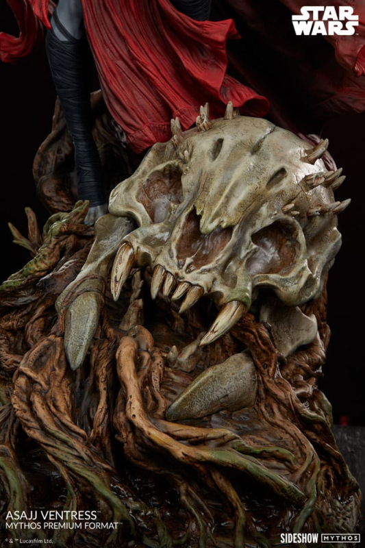 Star Wars Premium Format Statue Asajj Ventress 69 cm 10