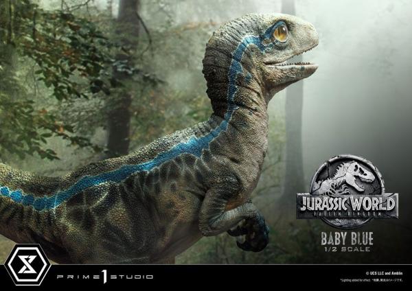 Jurassic World: Fallen Kingdom Prime Collectibles Statue 1/2 Baby Blue 34 cm