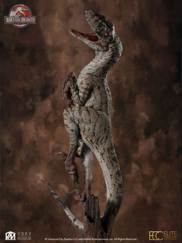 Jurassic Park III Maquette 1/4 Female Velociraptor White Queen 103 cm 4
