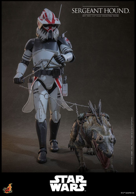 Star Wars: The Clone Wars Action Figure 1/6 Sergeant Hound 30 cm 7