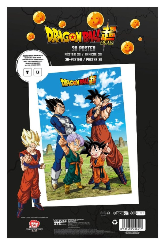 Dragon Ball Super 3D Poster Battle of Gods Goku Vegeta Family 38 x 58 cm 2
