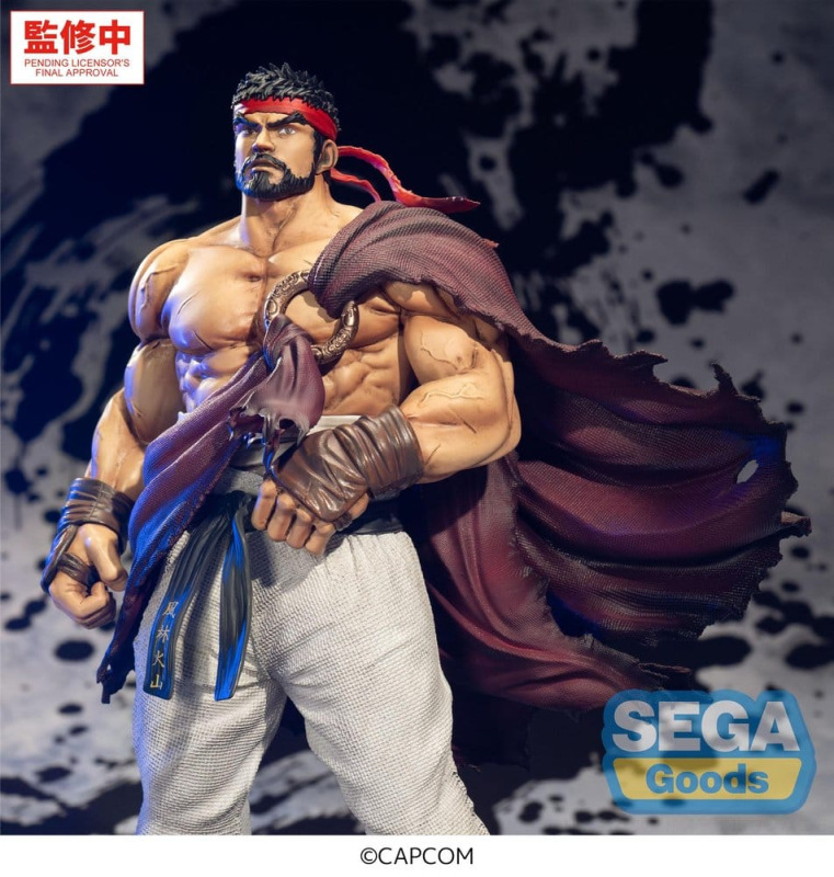 Street Fighter FIGURIZMa PVC Figure Ryu 26 cm 4