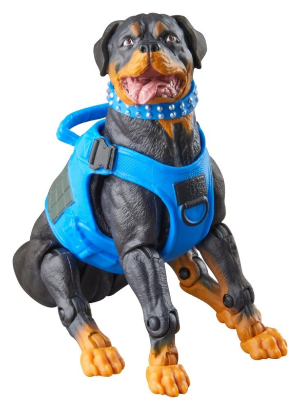 G.I. Joe Classified Series Action Figure 3-Pack #220 Mad Marauders: Footloose & Mutt & Junkyard 15 c 7