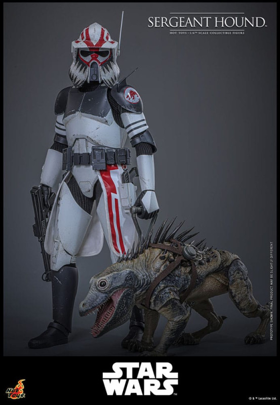 Star Wars: The Clone Wars Action Figure 1/6 Sergeant Hound 30 cm 5