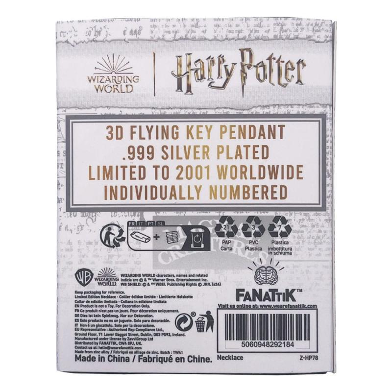 Harry Potter Necklace with Pendant Flying Key