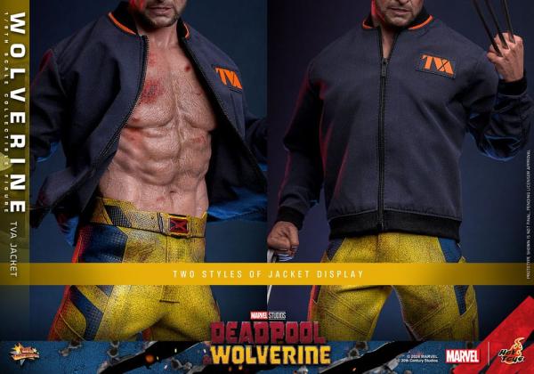 Deadpool & Wolverine Movie Masterpiece Action Figure 1/6 Wolverine (TVA Jacket Version) 31