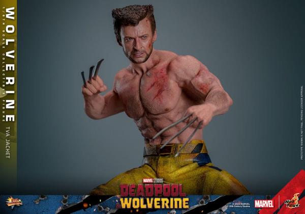 Deadpool & Wolverine Movie Masterpiece Action Figure 1/6 Wolverine (TVA Jacket Version) 31