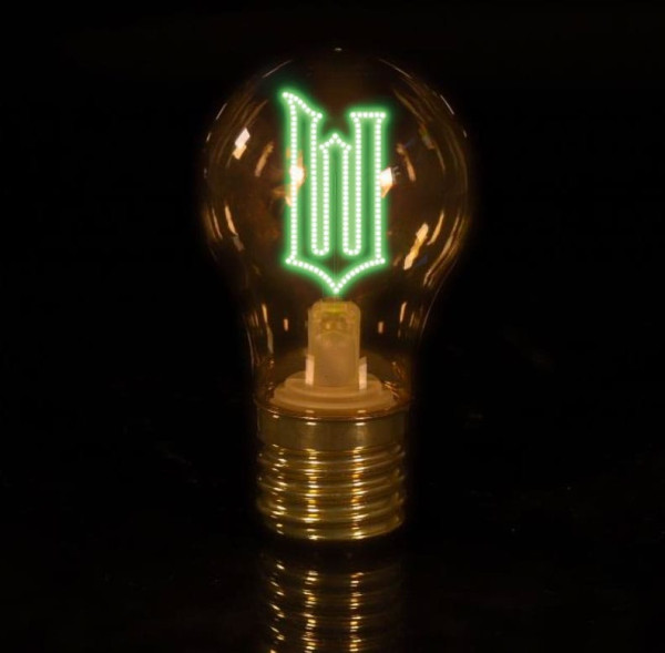 Wicked LED Bulb Light 1