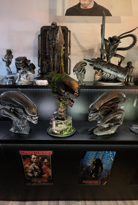 Predator trophy head with spear 6